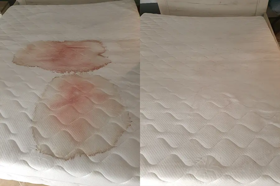 Dubinsko pranje duseka Grean Clean Novi Sad 04